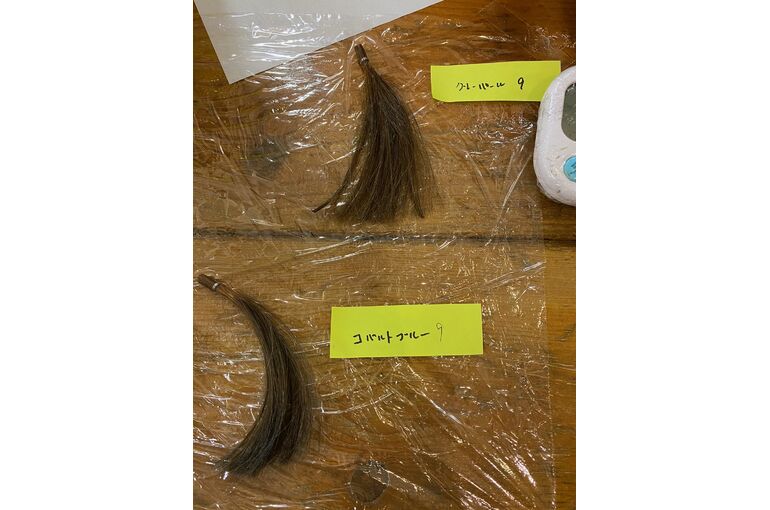 image2 (5)