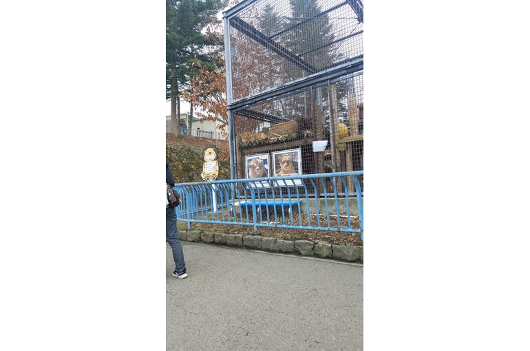 動物園