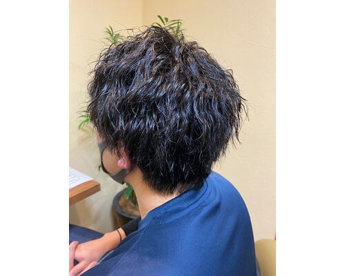 image2 (6)