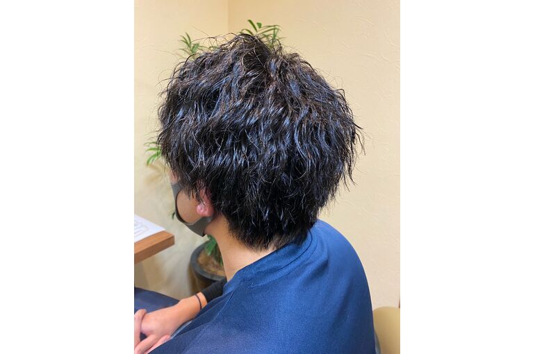 image2 (6)